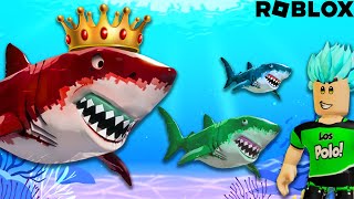 Soy el TIBURÓN más grande en ROBLOX be a shark [upl. by Eenat]