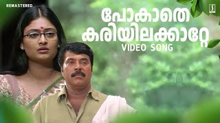 Pokathe Kariyilakkattee Video Song  Mammootty  Rappakal Movie Song  Mohan Sithara  Afsal [upl. by Anerahs666]