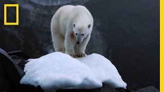 Climate Change Impacts All of Us But Theres Hope  National Geographic [upl. by Nnylrefinnej]