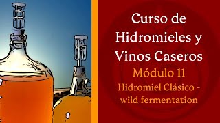 Cómo hacer HIDROMIEL wild fermentation  MÓDULO 11 [upl. by Tihor74]