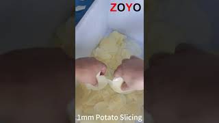 1mm Potato Slicer Potato Slicing Cutting [upl. by Michey]