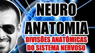 Neuroanatomia  Divisões anatômicas do Sistema Nervoso SNC SNP e SNA  VideoAula 068 [upl. by Alusru]