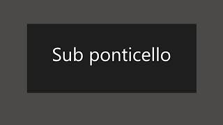 Sub ponticello violonchelo [upl. by Brindle]