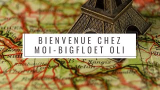 Bienvenue chez moi  Bigflo et Oli  Lyrics  PAROLE [upl. by Ingemar256]