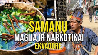 Kelionė į Ekvadorą 3 Šamanų magija blogųjų dvasių išvarymas ir kvaišalai Ayahuasca [upl. by Dale]