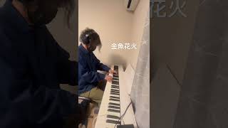 金魚花火 大塚 愛aio piano [upl. by Eillim]