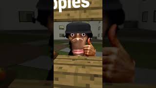 Escape Nextbots My Name Is Aughhh And Apple Cats Wants Apple gmod [upl. by Ahsenev]