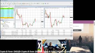 Live Trading on EagleFX broker Kou Success Lee FX eaglefxbroker [upl. by Hakym]