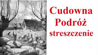 Cudowna podróż  streszczenie [upl. by Maxantia621]