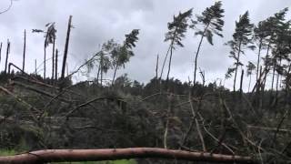 Stormschade bos Zutendaal [upl. by Eiclud]