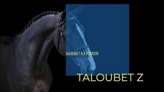 Taloubet Z [upl. by Ydaf188]