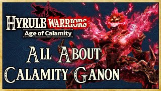 All About Calamity Ganon FULL GUIDE  Hyrule Warriors Age of Calamity  Warriors Dojo [upl. by Durtschi703]