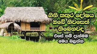 ගිනි කතුර දෝෂය ඔබේ නිවසෙත් තිබෙනවද  Gini Kathura Dosha Vastu Tips [upl. by Ellives]