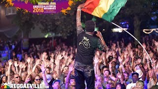 Skarra Mucci  Reggae Jam Festival 2018 [upl. by Ainahtan262]