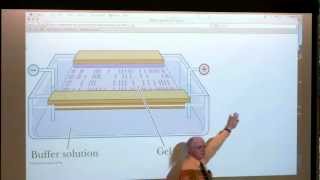 8 BB 350 Protein Purification II  Enzymes I  Kevin Aherns Biochemistry Online [upl. by Meekar883]