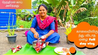 நம்ம ஊர்ல நல்ல மழை பிரஷா பறித்த வாழைப்பூ பொரியல் full day vlog Tamil [upl. by Ellan810]