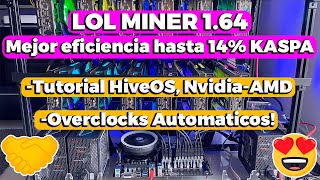 LOLminer 164 HASTA 14 MAS EFICIENCIA minando KASPA HiveOS [upl. by Letty]