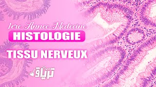 HISTOLOGIE 1ère année  TMC CAMP  TISSU NERVEUX  By Rania [upl. by Reifel]