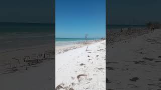 HONEYMOON ISLAND FLORIDA before the hurricane shorts [upl. by Matthei]