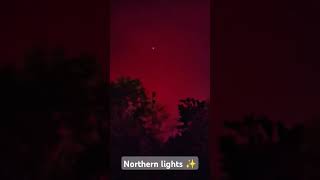 Northern lightsdeep red sky northernlights redsky red nightsky halloweenvibes 2024 pretty [upl. by Hcurab]