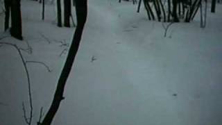 Little Manistee Michigan Motorcycle trail snow ride Pt 1 [upl. by Sirtimid959]