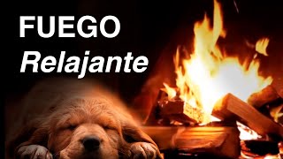 12 Horas de Sonido de Fuego 🔥 Relajante en Chimenea [upl. by Corwin]