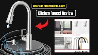 American Standard PullDown Kitchen Faucet Review [upl. by Ylime894]