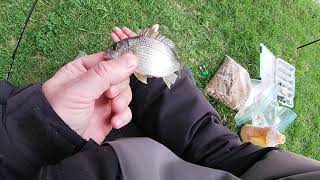 FISHING THE MARIBYRNONG RIVER [upl. by Leiria681]