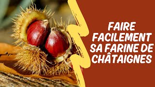 Faire facilement sa farine de châtaignes [upl. by Moser]