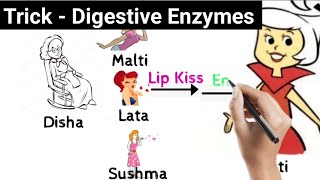 Digestion and Absorption  Class 11  Trick to learn Enzymes  NEET AIIMS [upl. by Faxan]