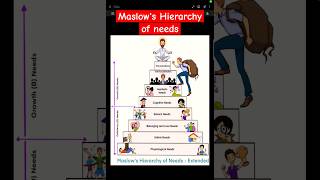 Basic Needs 😇  Maslows Hierarchy  Humanistic Theory of Motivation Food water sex home family [upl. by Yotal]