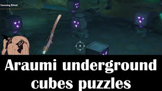 Araumi Cubes Puzzle underground Genshin impact [upl. by Olimreh342]