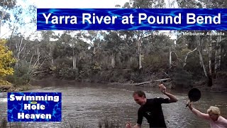 Swimming in the Yarra River at Pound Bend in Warrandyte Melbourne [upl. by Kokoruda418]