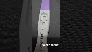 TTC 1  10 DPO night  Pregnancy test  5 days sooner  18 Sept 2024  Negative  Baby Bump ttc [upl. by Ailegave]