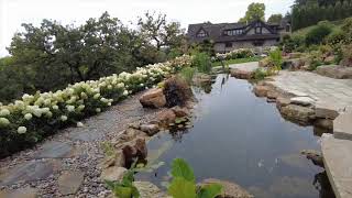 Beautiful koi pond of Eden Prairie mn SD 480p [upl. by Aldon114]