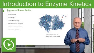 Introduction to Enzyme Kinetics – Biochemistry  Lecturio [upl. by Anneehs769]