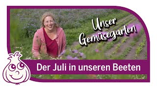 Große Gartentour bei uns im Gemüsegarten im Juli [upl. by Ioj]