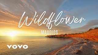 WILDFLOWER Lyrics  Music Video  Song Video Lyrics [upl. by Arretal277]