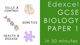 All of Edexcel BIOLOGY Paper 1 in 30 minutes  GCSE Science Revision [upl. by Osbert]