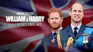 William amp Harry les frères ennemis 14  La rupture les vraies raisons de la brouille [upl. by Ebeohp]