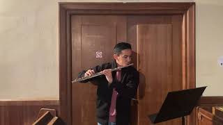 The Riders of Rohan  King of the Golden Hall LOTR  Flute Cover [upl. by Jobi]