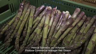 From Field to Feast The Story Behind Wye Valleys Finest Asparagus [upl. by Zachariah]