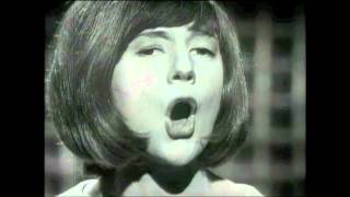 Cilla Black  Youre My World  live TV performance May 1964 [upl. by Anan545]