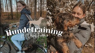 Hundetraining mit Dackel Frieda Teil 3 [upl. by Audwen212]