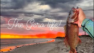 Coral trout off Geraldton [upl. by Aveline961]