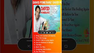 DAVID POMERANZ ｜ DAVID POMERANZ SONGS ｜ DAVID POMERANZ GREATEST HITS ｜ BEST OF DAVID POMER shorts [upl. by Tharp]