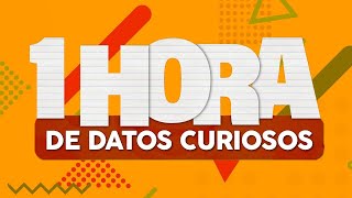 1 HORA de DATOS CURIOSOS⏰🤯 [upl. by Gio784]