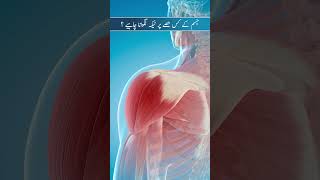 Jisam Ky Kis Hissay Per Injection Lagwana Chahiye  Where Should You Get an Injection Injection [upl. by Rheba652]