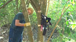 Demonstration of Invasive Tree Girdling with Cliff Tyllick [upl. by Tamqrah25]