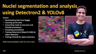 336  Nuclei segmentation and analysis using Detectron2 amp YOLOv8​ [upl. by Drusi]